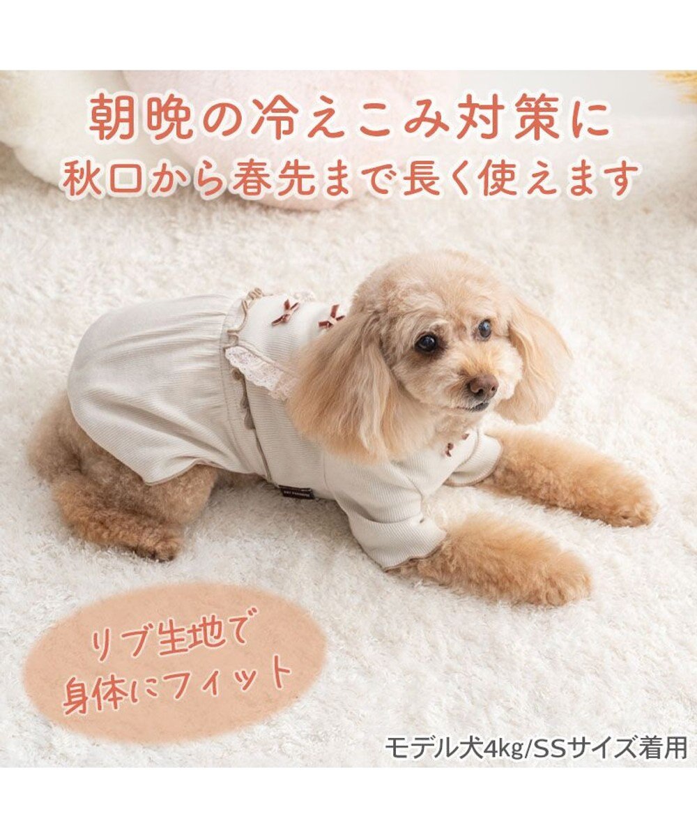 PET PARADISE ペットパラダイス ミニリボン プレミアム ペティヒート ワンピース 小型犬 