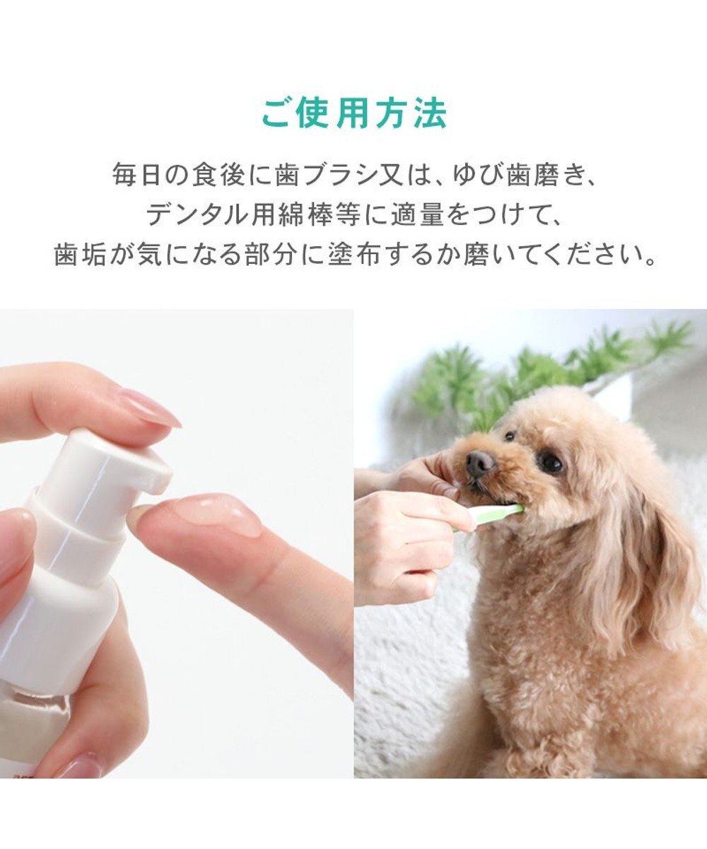 PET PARADISE ペットパラダイス デンタル ブラッシングジェル 