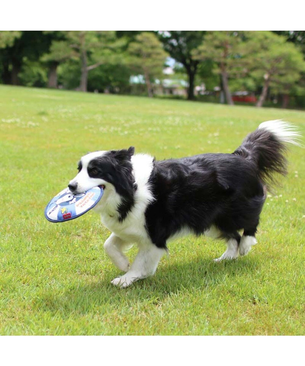 PET PARADISE スヌーピー 水に浮く フライングディスク 