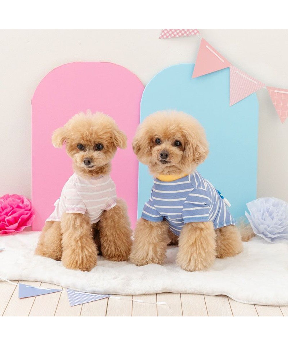 PET PARADISE ディズニー ドナルドダック 手つなぎＴシャツ 接触冷感 中型犬 大型犬 