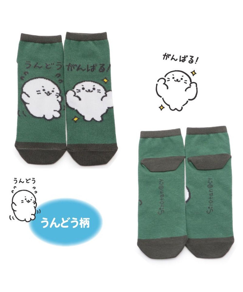 Mother garden しろたん 靴下 3足セット 〈カンフー柄 らくがき柄 うんどう柄〉 21cm～24ｃｍ 