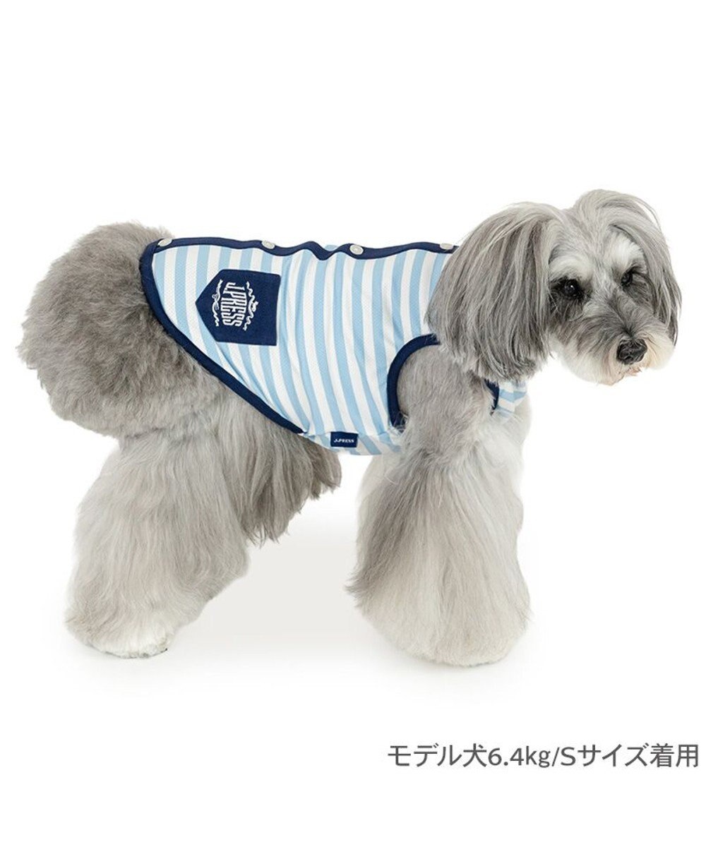PET PARADISE J.PRESS 接触冷感 ボーダー タンクトップ 小型犬 