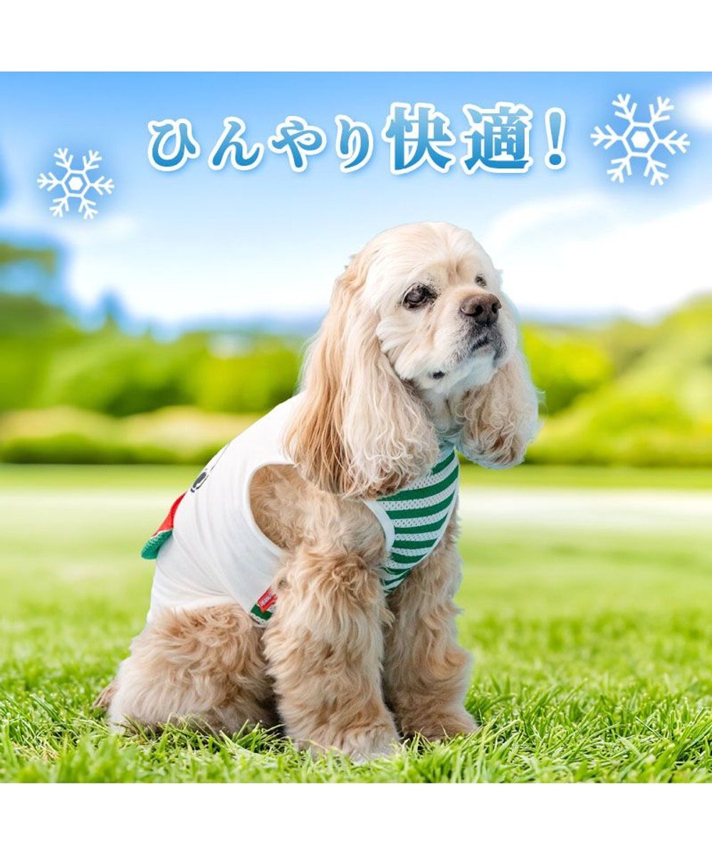 PET PARADISE  スヌーピー スイカポケット タンクトップ 中型犬 大型犬 
