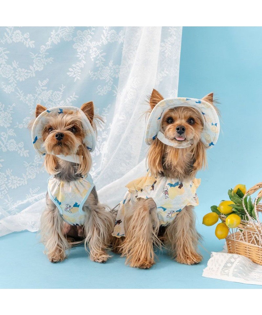 PET PARADISE リサとガスパール エコメイド シトラス ワンピース 小型犬 
