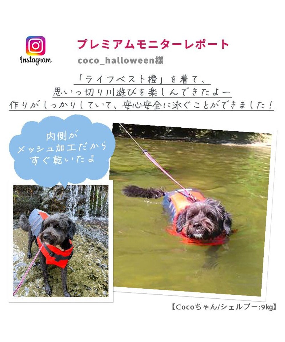 PET PARADISE ペットパラダイス ライフベスト【ＳＳ～Ｓ】 《オレンジ》 