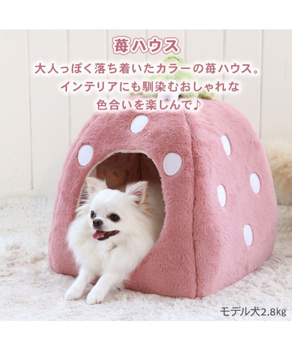 PET PARADISE ペットパラダイス くすみ苺 ハウス M (38×38×40cm) 超小型犬 
