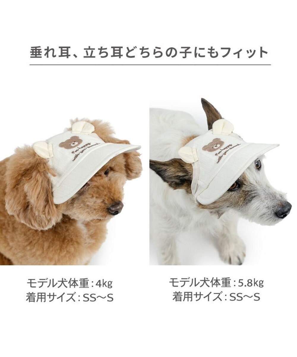 PET PARADISE ペットパラダイス くまちゃん 刺繍帽子 ４Ｓ～３Ｓ/ＳＳ～Ｓ 