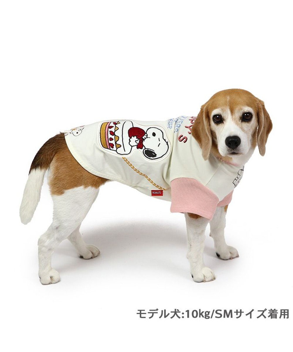 PET PARADISE スヌーピー バースデーＴシャツ 中型犬 