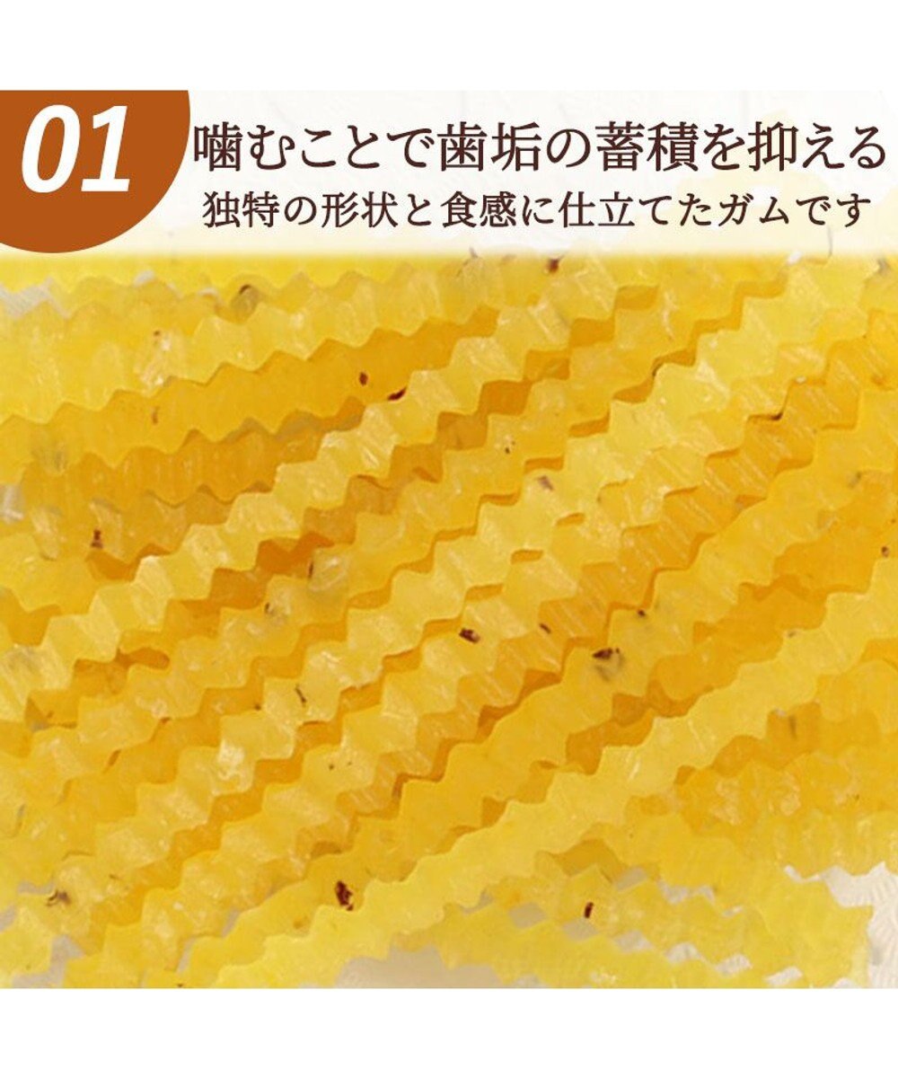 PET PARADISE デンタルガム さつまいも 100g 国産 