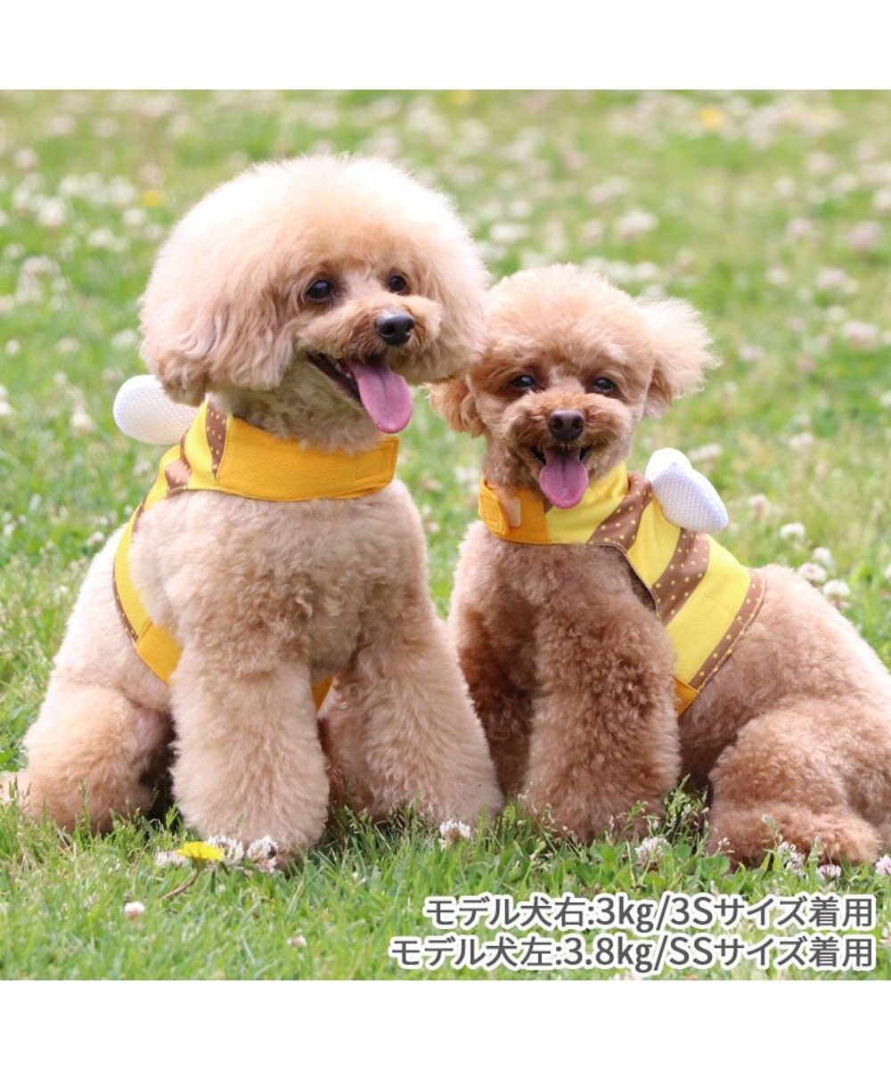 PET PARADISE ペットパラダイス  はちクールベスト 小型犬 