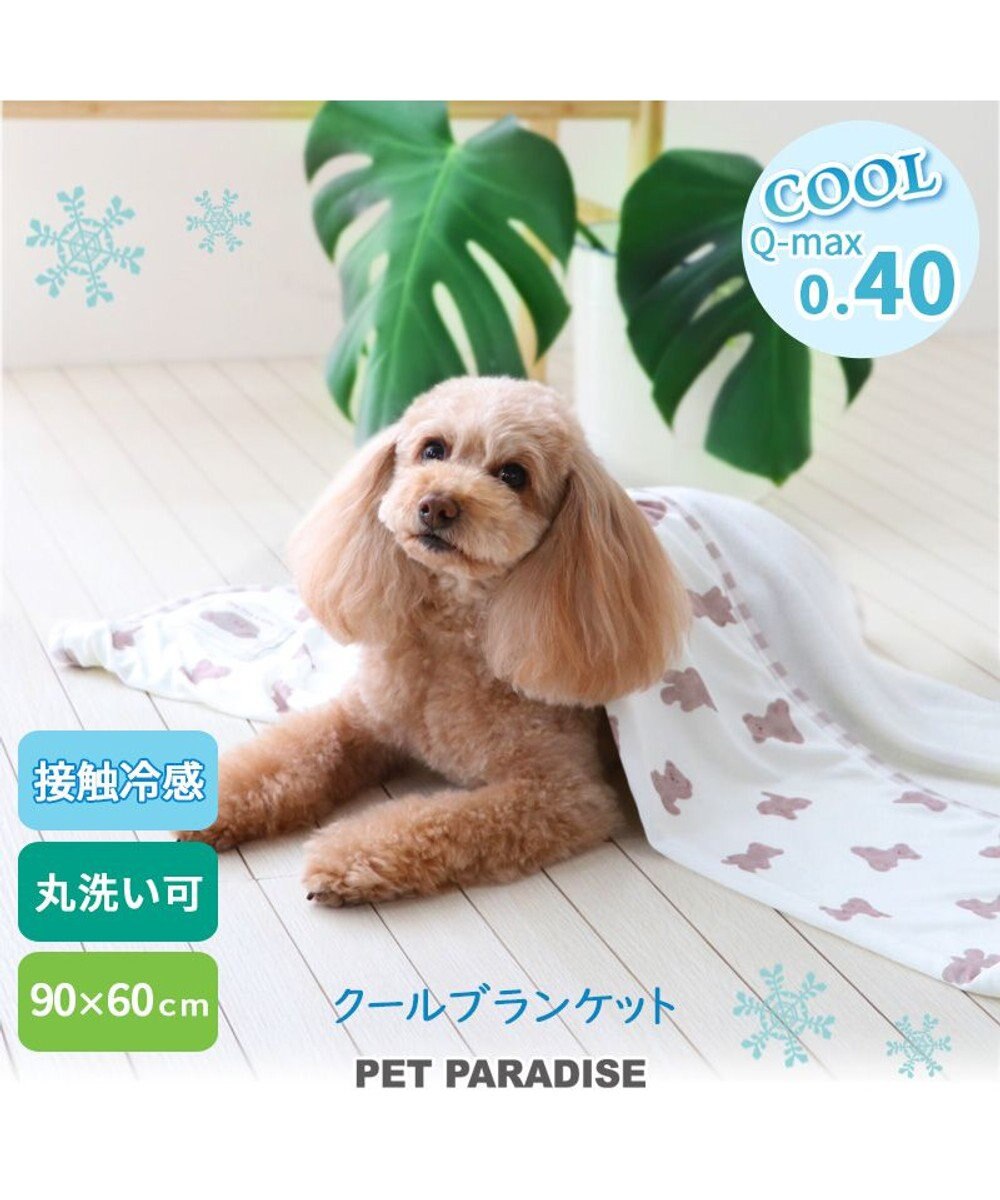 PET PARADISE ペットパラダイス くまちゃん クールブランケット (90×60cm) 