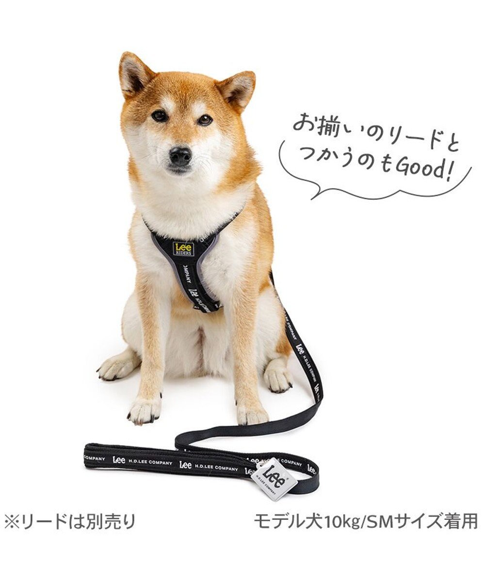 PET PARADISE Lee ロゴアクティブ ハーネス ＳＭ 