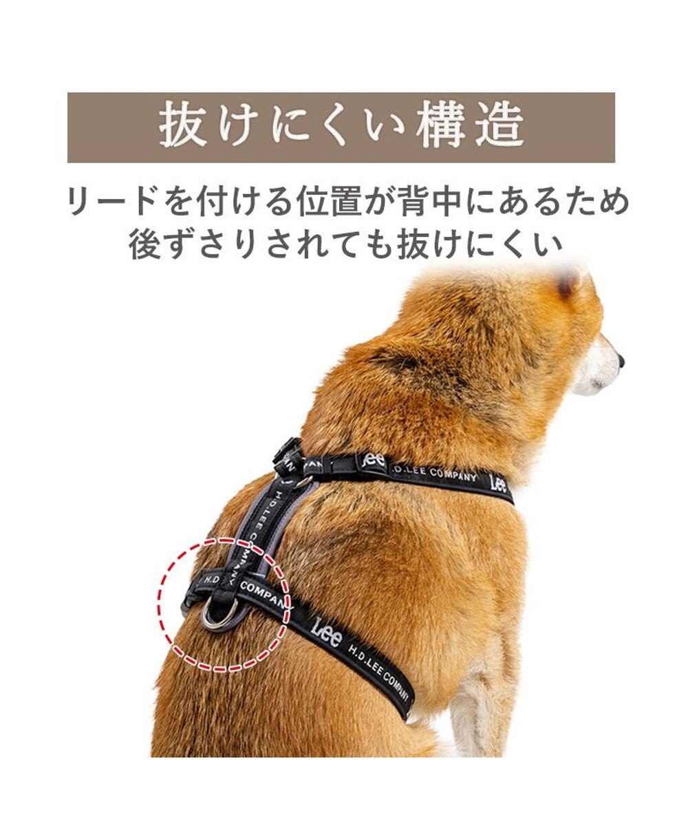 PET PARADISE Lee ロゴアクティブ ハーネス ＳＭ 