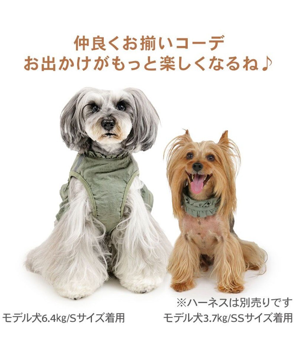 PET PARADISE ペットパラダイス ペタルオリーブ首輪 ＳＳ 