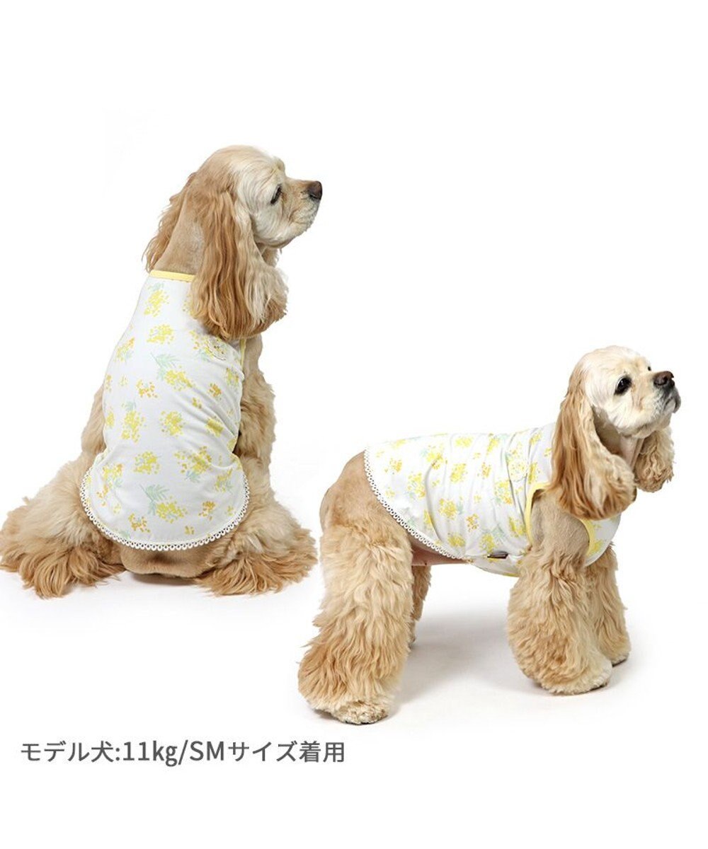 PET PARADISE ペットパラダイス はじめてタンクトップ 《ミモザ柄》 中型犬 大型犬 