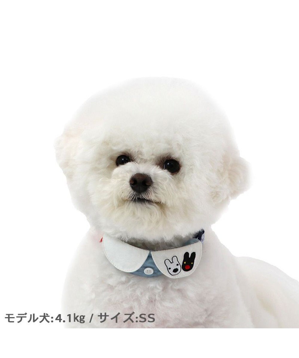 PET PARADISE リサとガスパール  襟付き 首輪《であい柄》 ３Ｓ 小型犬 