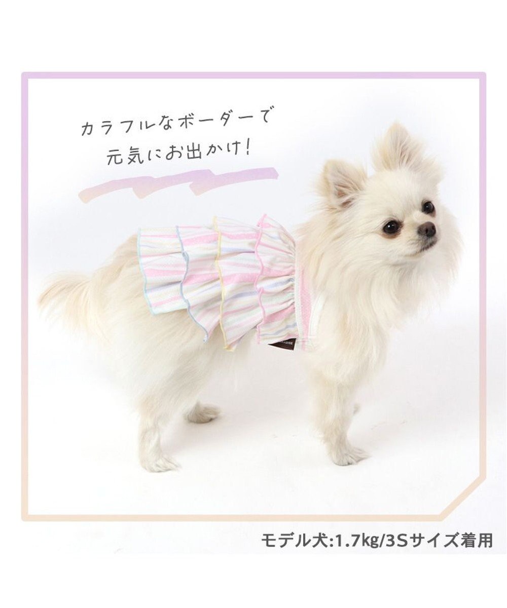 PET PARADISE 犬の服 夏 ひんやり クール メッシュ 接触冷感 虫よけ ボーダーキャミソール 【小型犬】クールマックスエコメイド 