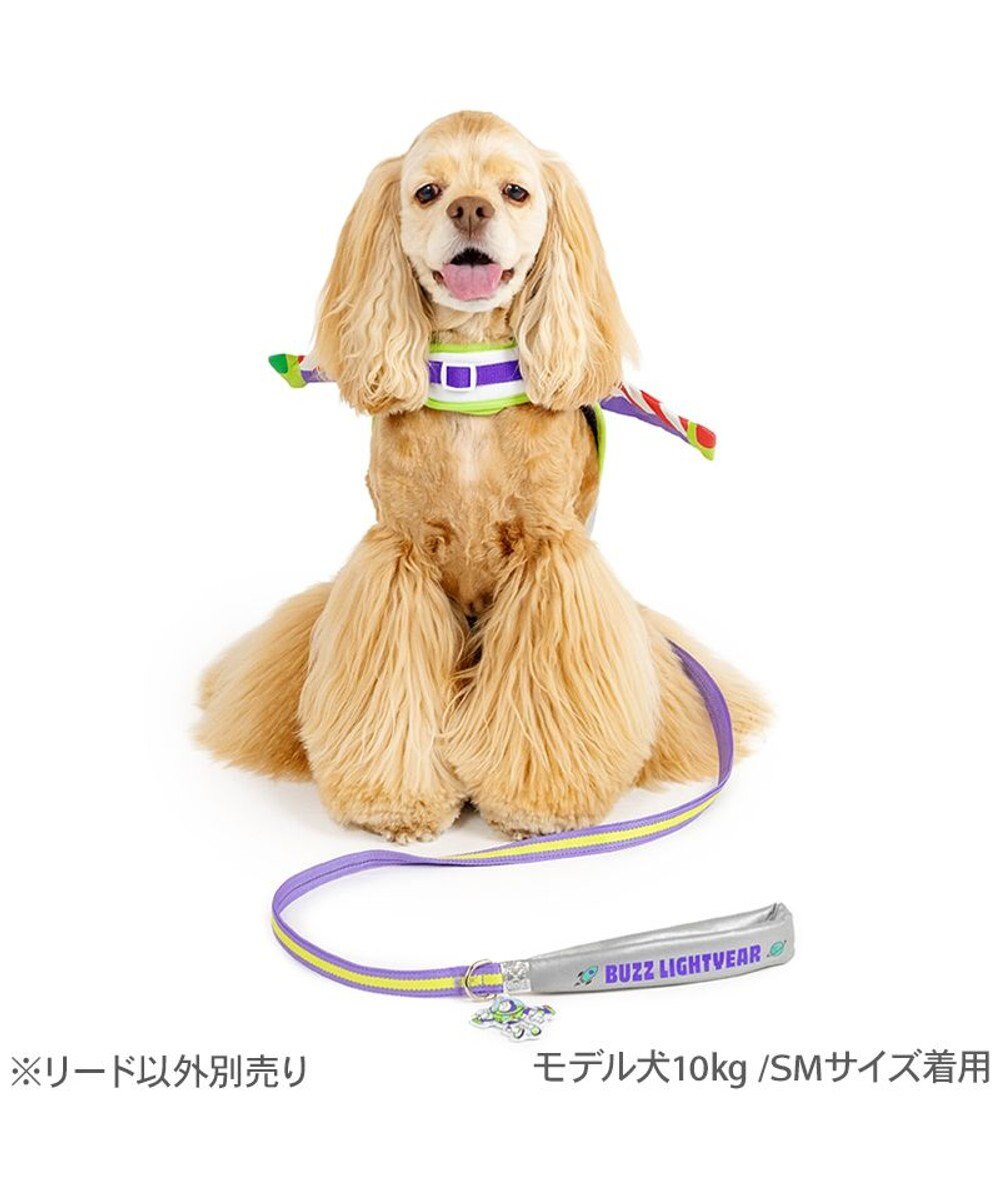 PET PARADISE ディズニー トイ・ストーリー バズ リード ＳＭ 