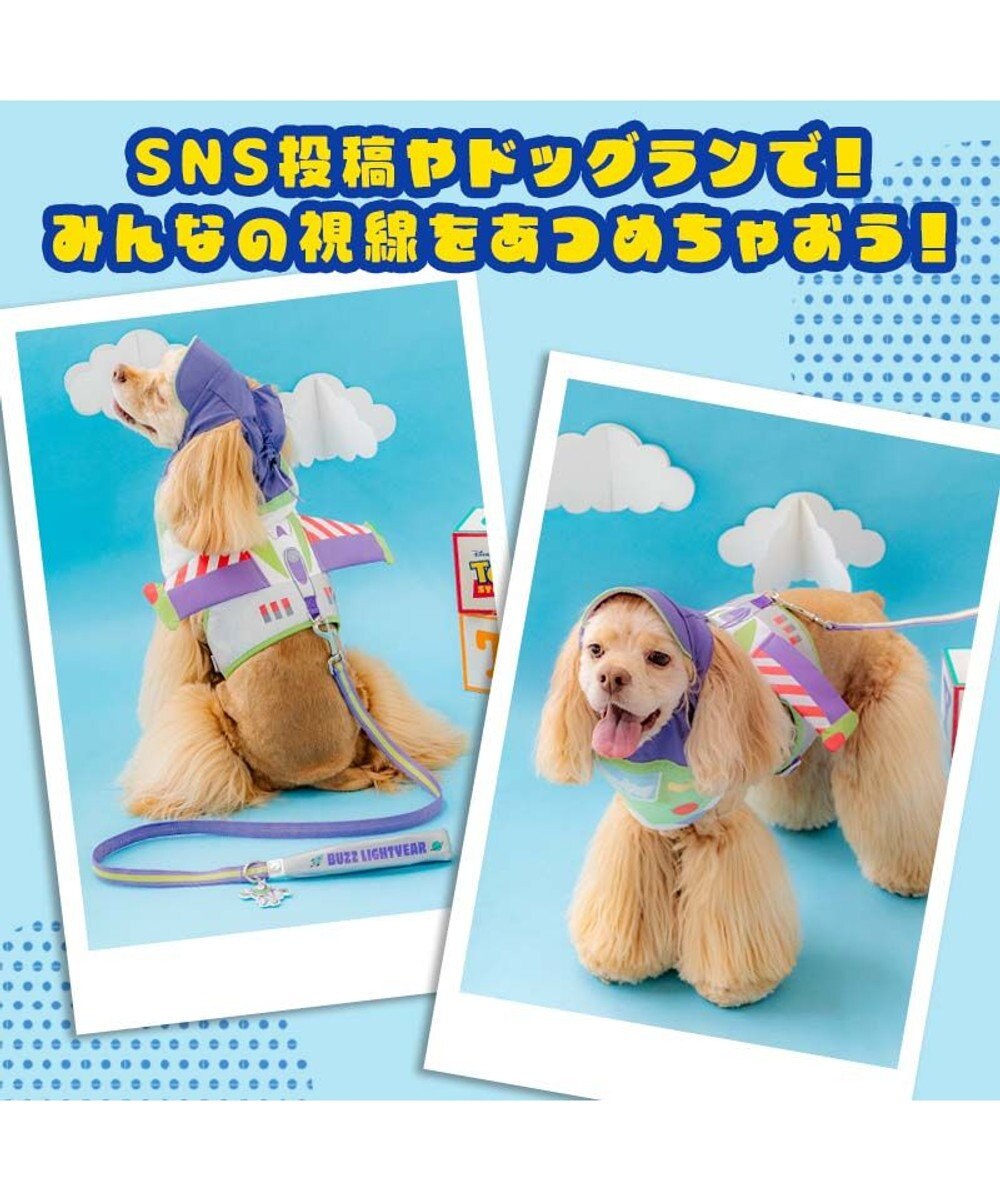 PET PARADISE ディズニー トイ・ストーリー バズ リード ＳＭ 