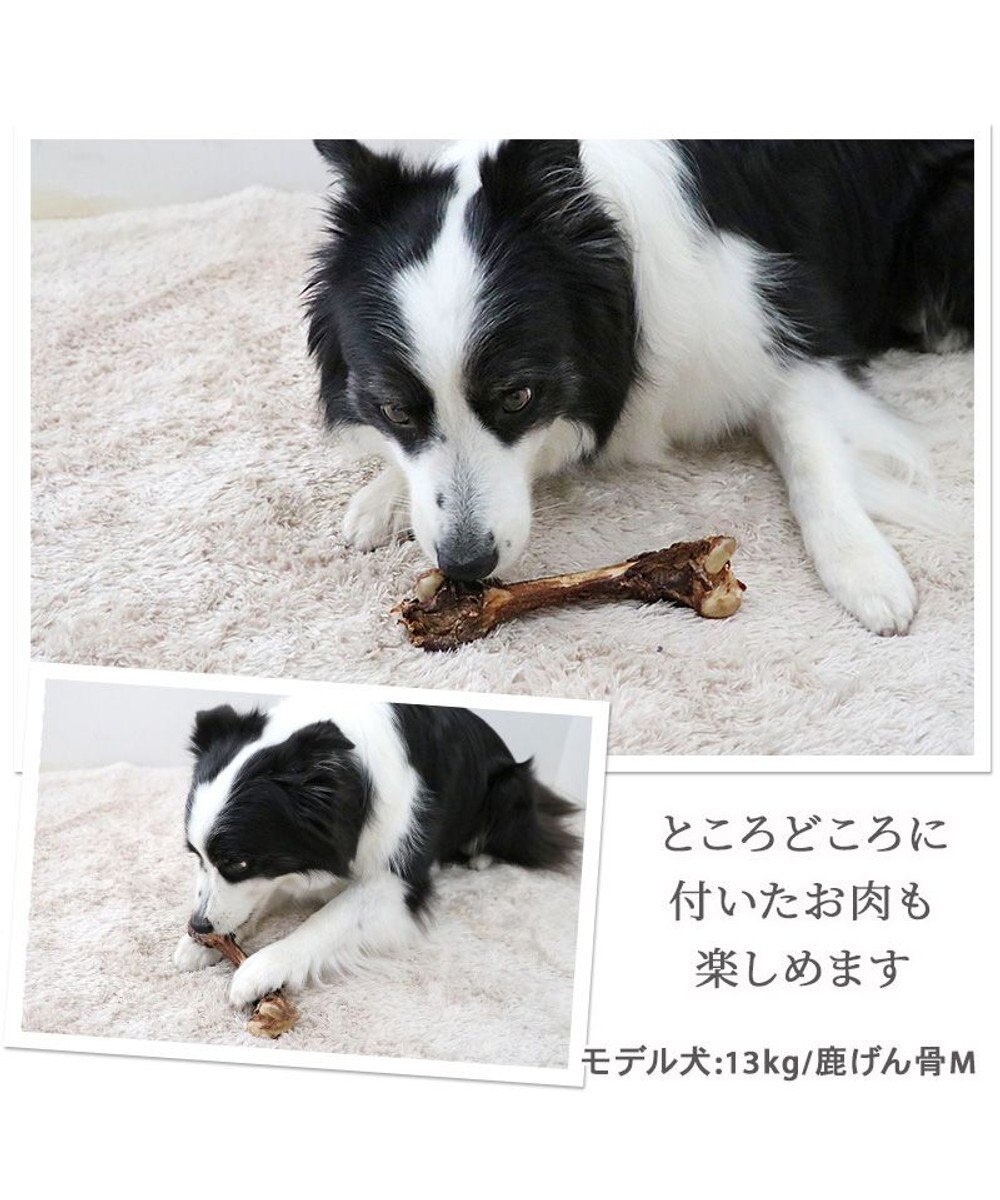 PET PARADISE ≪数量限定≫  鹿 げん骨 デンタルおやつ Mサイズ×2本 純国産 