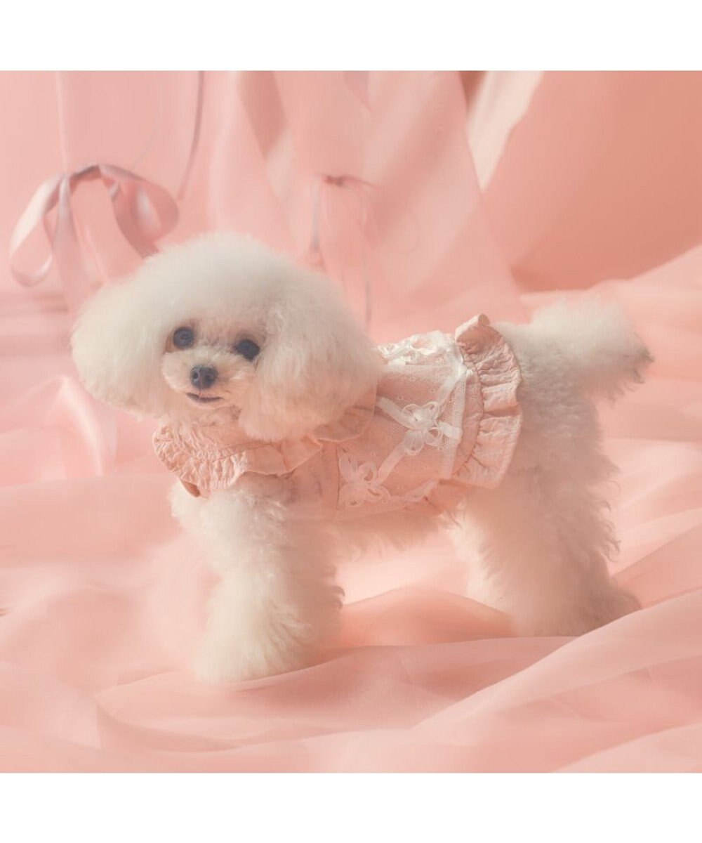 PET PARADISE cherircouture フリルカラーワンピース 小型犬 