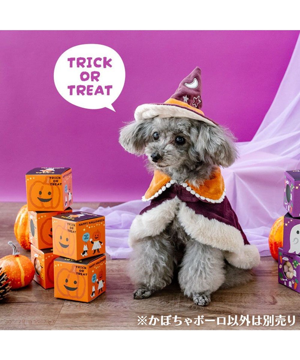 PET PARADISE ハロウィン かぼちゃＢＯＸ かぼちゃボーロ 