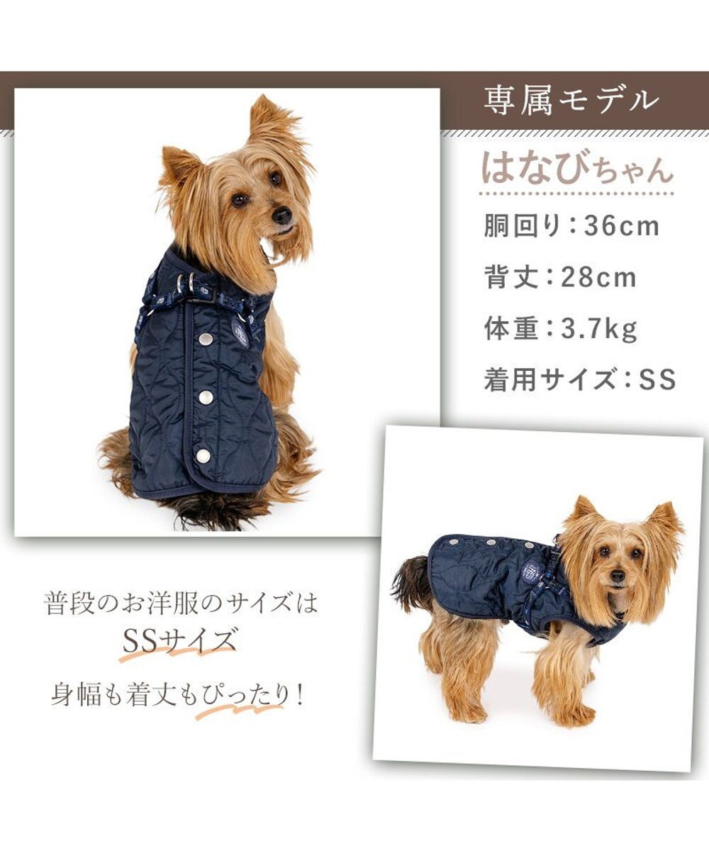 PET PARADISE J.PRESS  アウターハーネス オニオンシームステッチ 《ネイビー》 小型犬 