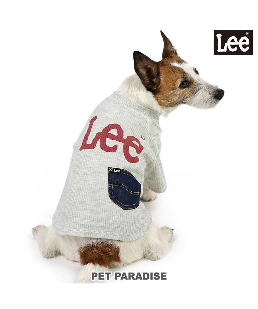 PET PARADISE Lee ワッフル Tシャツ 小型犬 