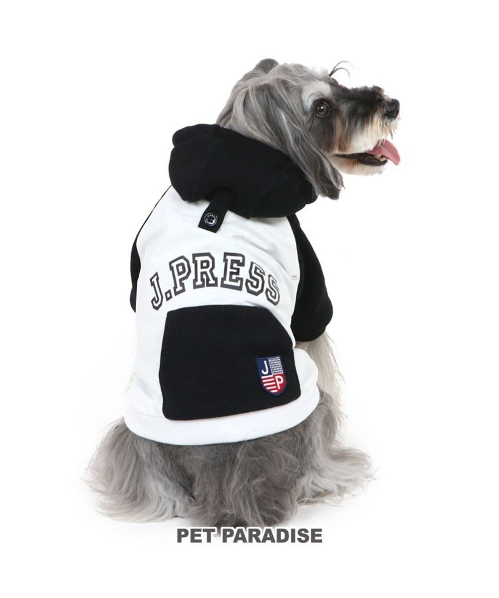 PET PARADISE 犬 服 J.PRESS パーカー  【小型犬】 カレッジ 白 