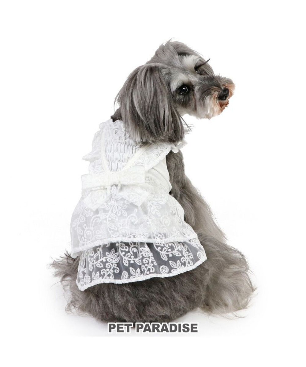 PET PARADISE ペットパラダイス レースワンピース 小型犬 