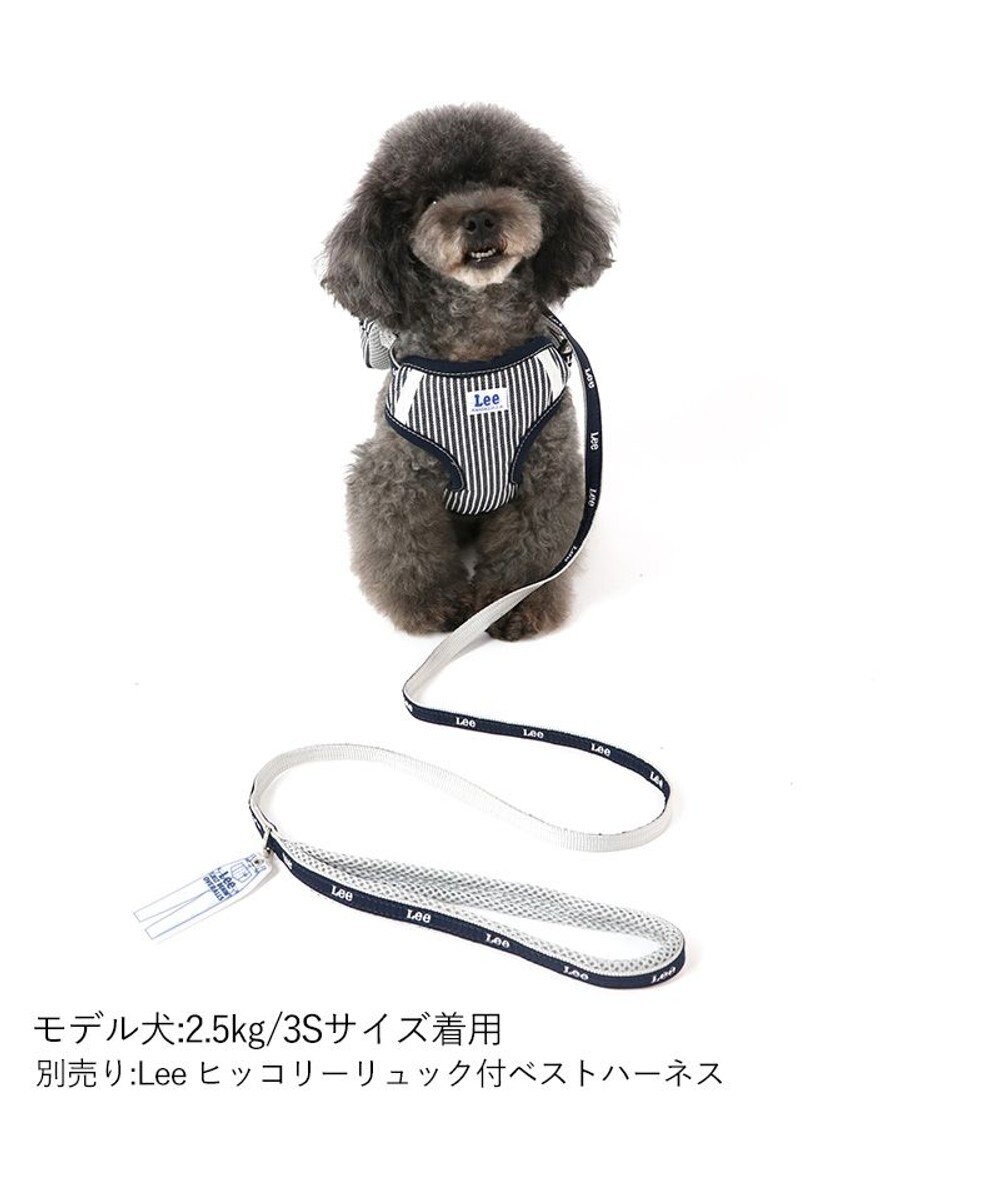 PET PARADISE Ｌｅｅ反射 チャーム付きリード 紺【４Ｓ～３Ｓ】 