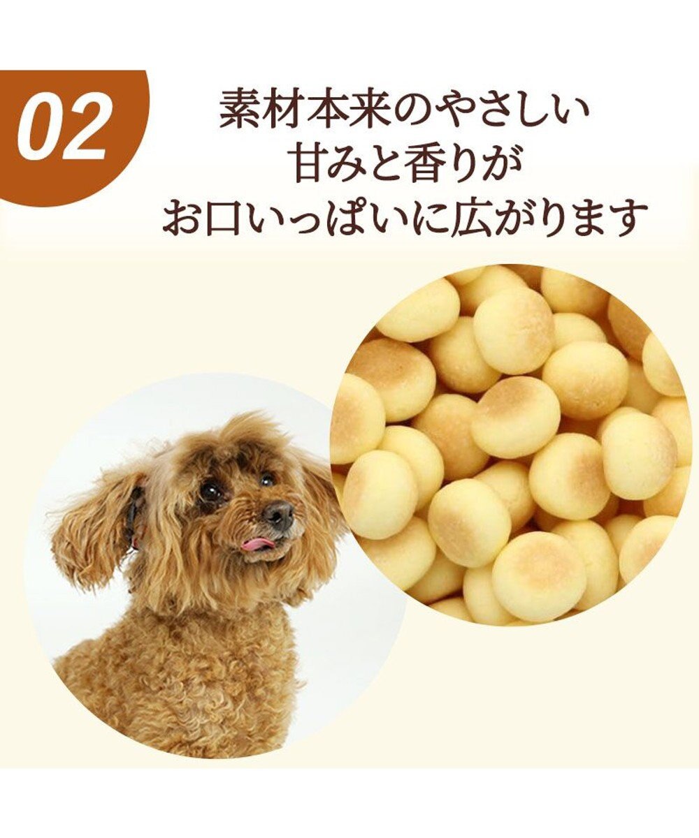 PET PARADISE かぼちゃ ボーロ 160g 大袋 