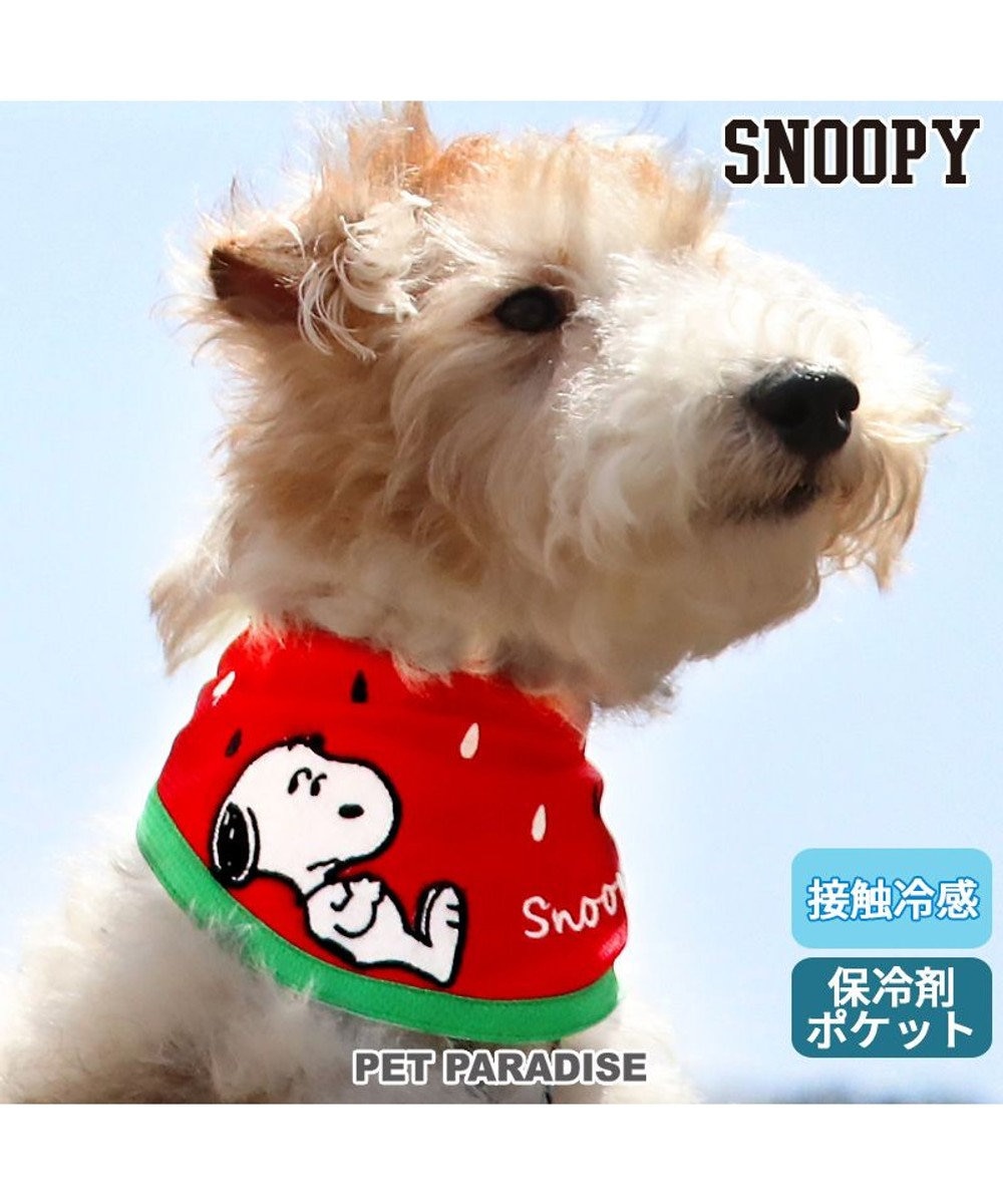 PET PARADISE スヌーピー スイカ柄 クールネック バンダナ 《保冷剤付き》【小型犬】 
