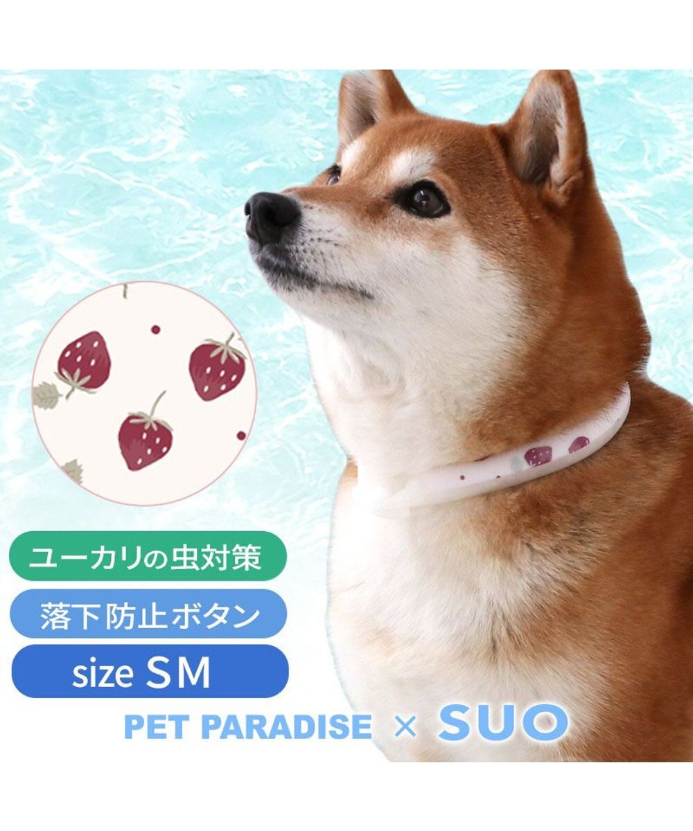 PET PARADISE ペットパラダイス 28℃クールリング  《いちご》 ＳＭ 中型犬 