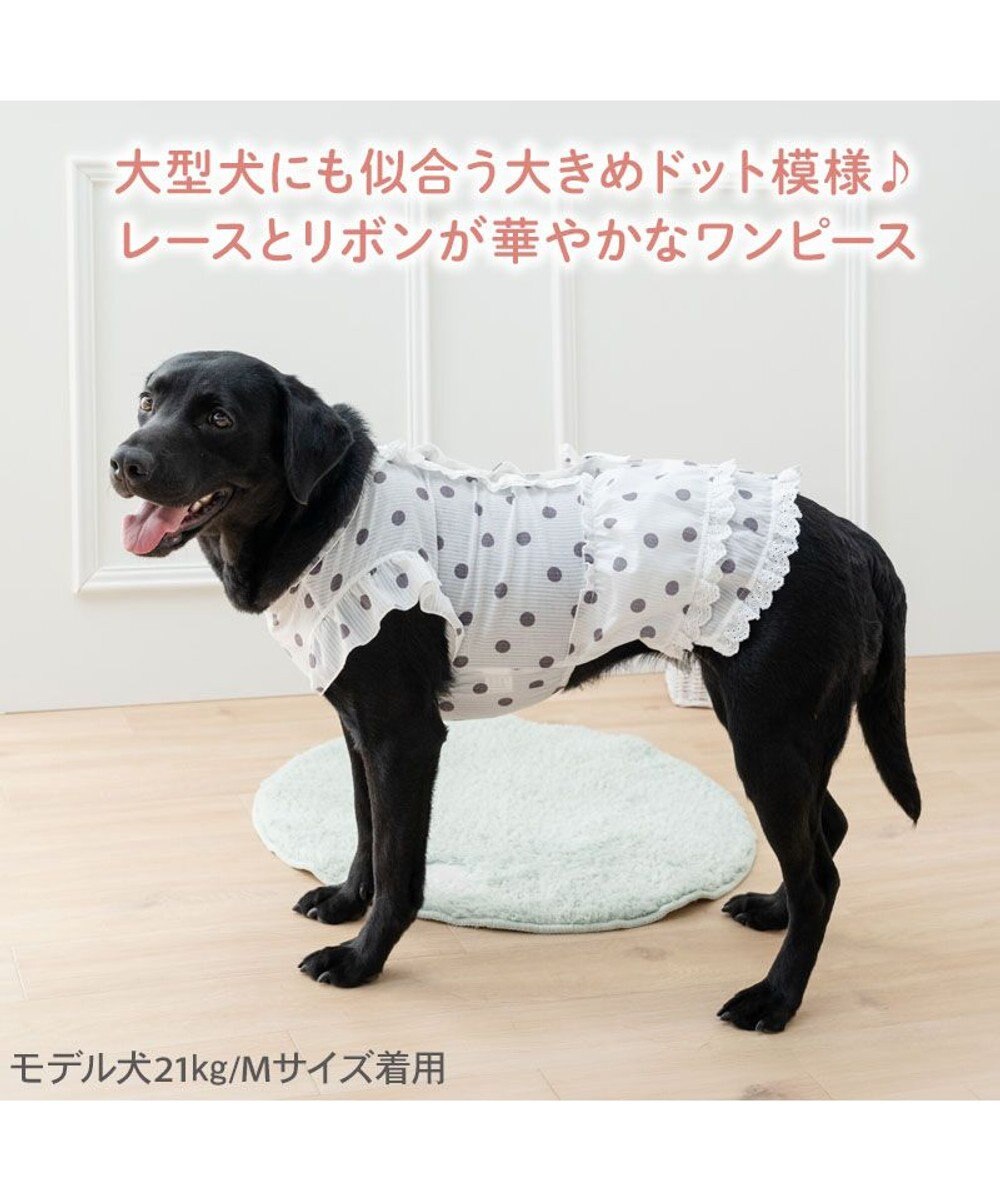 PET PARADISE ペットパラダイス 背中開き フリル ワンピース 《ドット柄》 中型犬 大型犬 