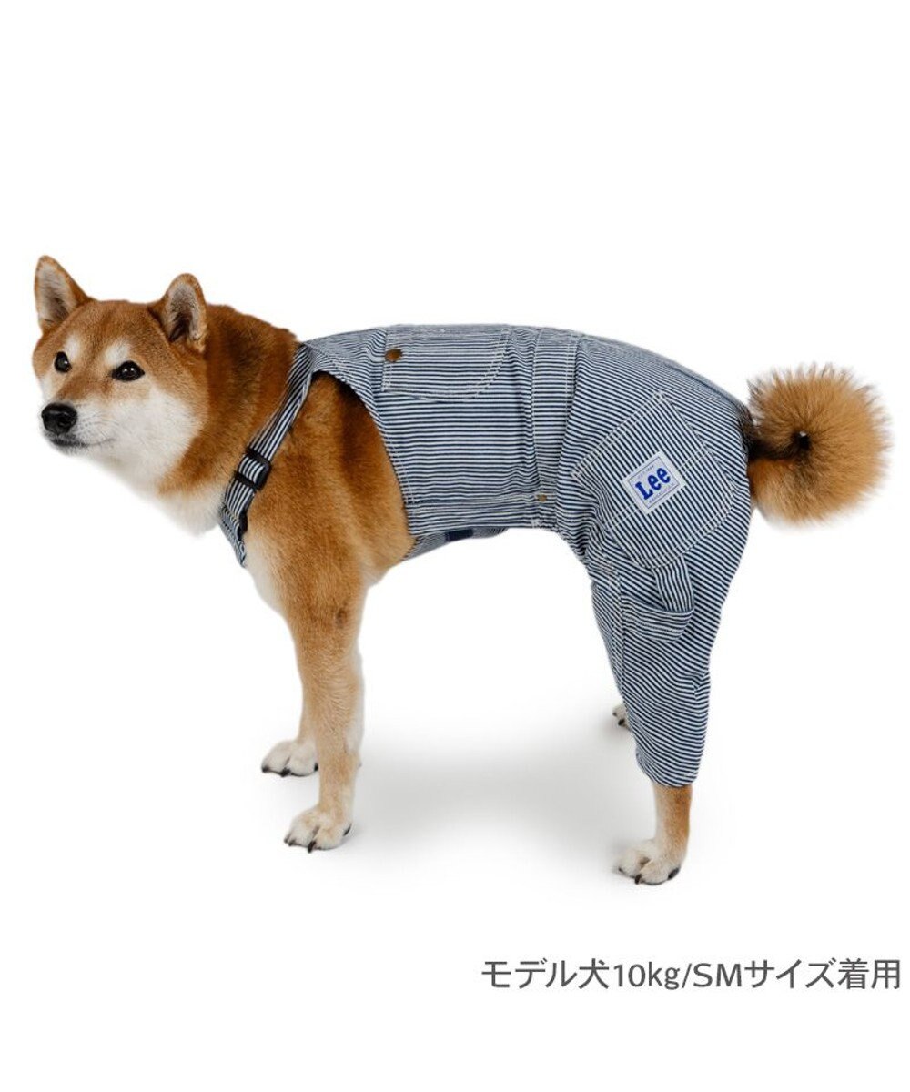 PET PARADISE Lee ヒッコリー オーバーオール 中型犬 大型犬 