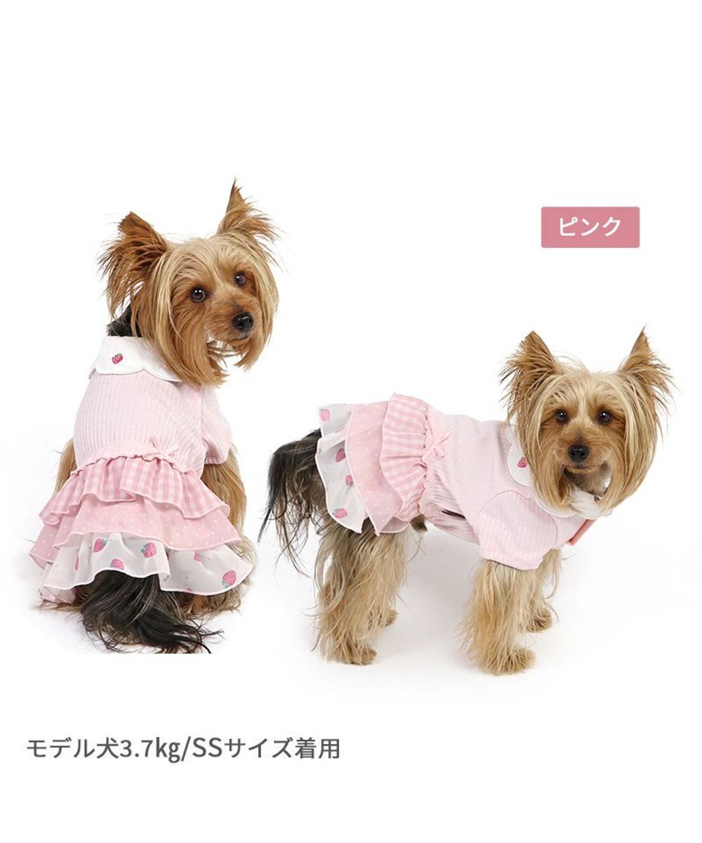 PET PARADISE ペットパラダイス 苺刺繍 ワンピース  スカラップカラー《ピンク》 小型犬 