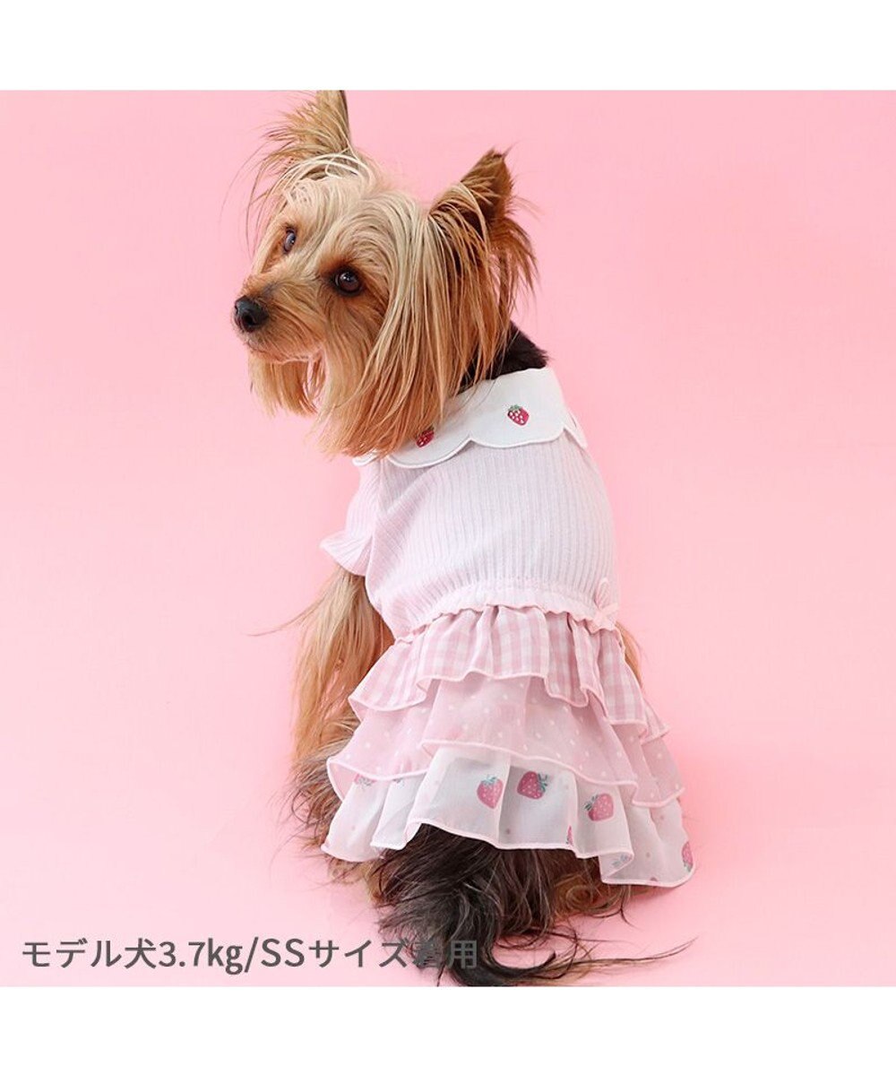 PET PARADISE ペットパラダイス 苺刺繍 ワンピース  スカラップカラー《ピンク》 小型犬 