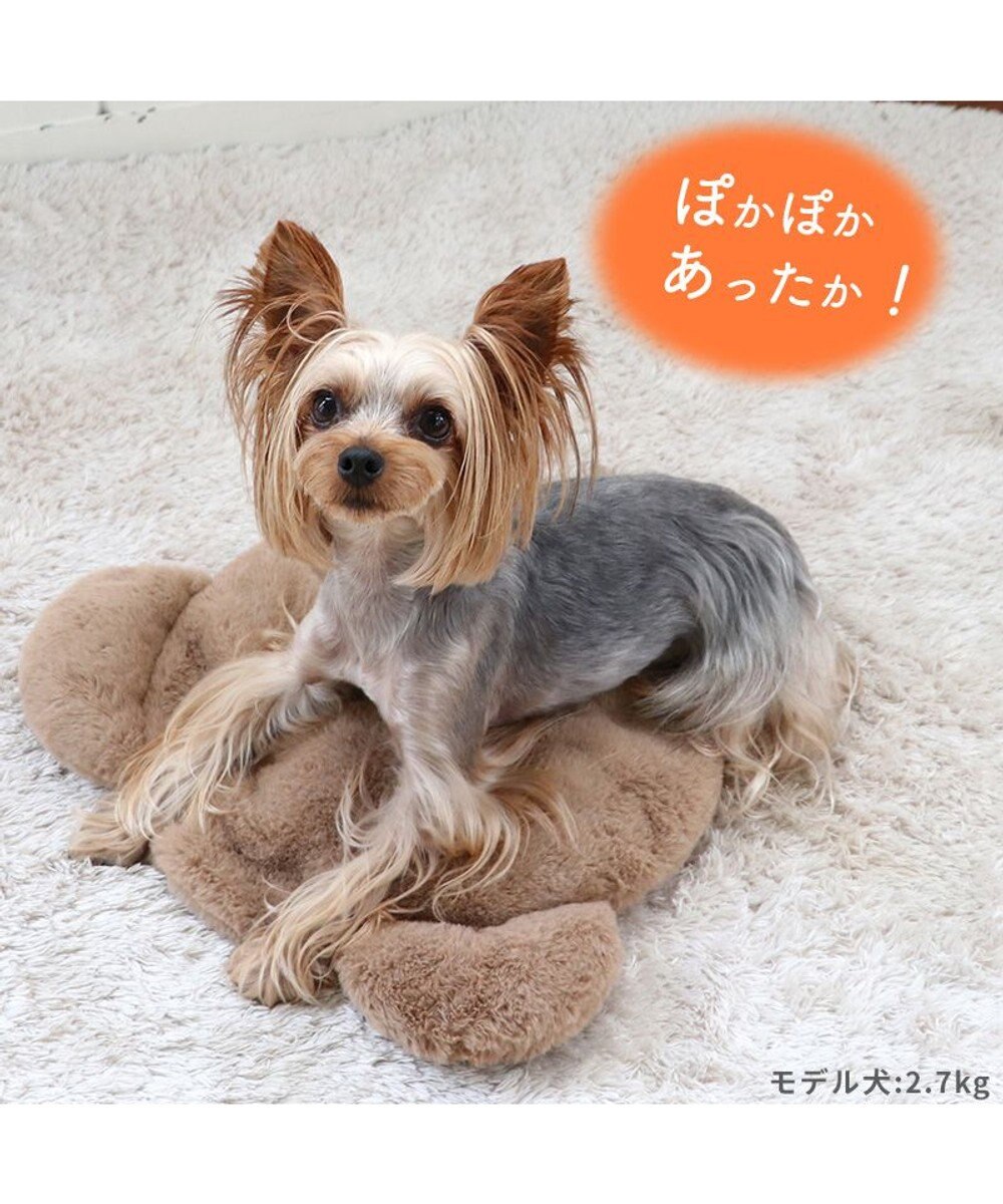 PET PARADISE ペットパラダイス くまちゃん スチームウォーマー 