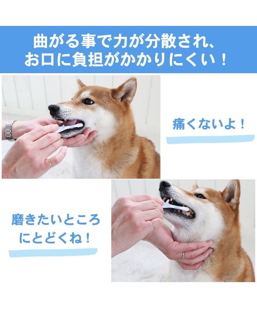 PET PARADISE 【ネット店限定】ペット用品  曲がる 歯ブラシ ２本セット  全犬種対応 