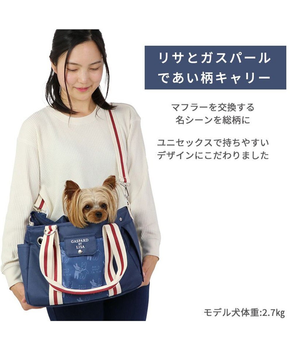 PET PARADISE リサとガスパール キャリーバッグ であい柄 【超小型犬】 