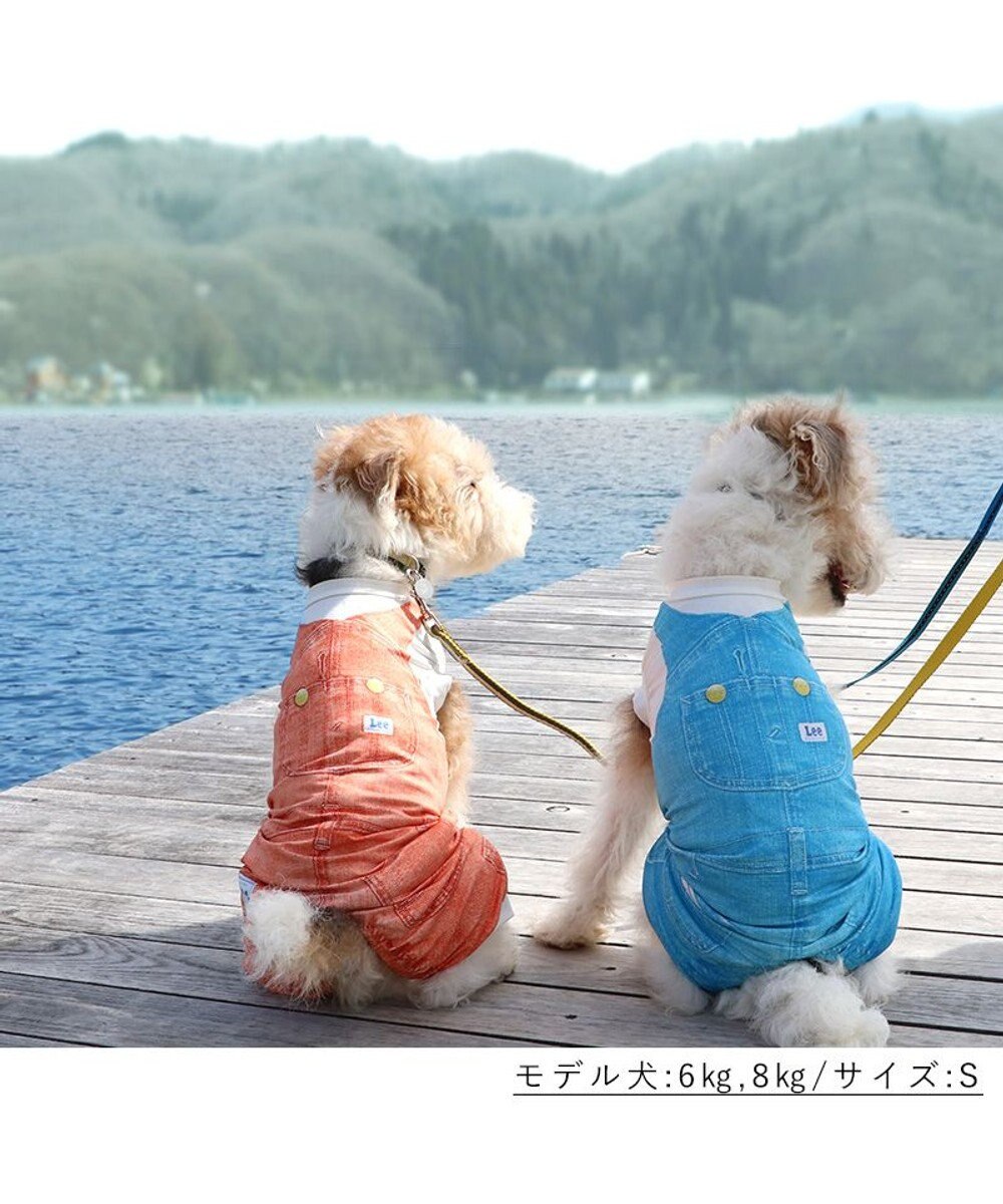 PET PARADISE Ｌｅｅ つなぎ風  ロンパース 【小型犬】《ブルー/オレンジ》クールマックスエコメイド 