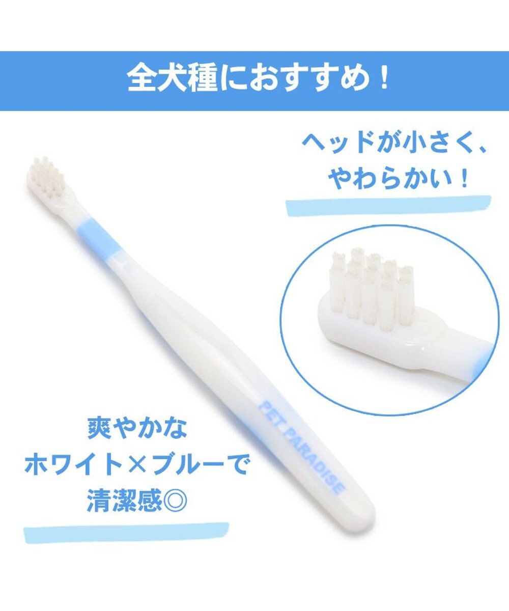 PET PARADISE 【ネット店限定】ペット用品  曲がる 歯ブラシ ２本セット  全犬種対応 