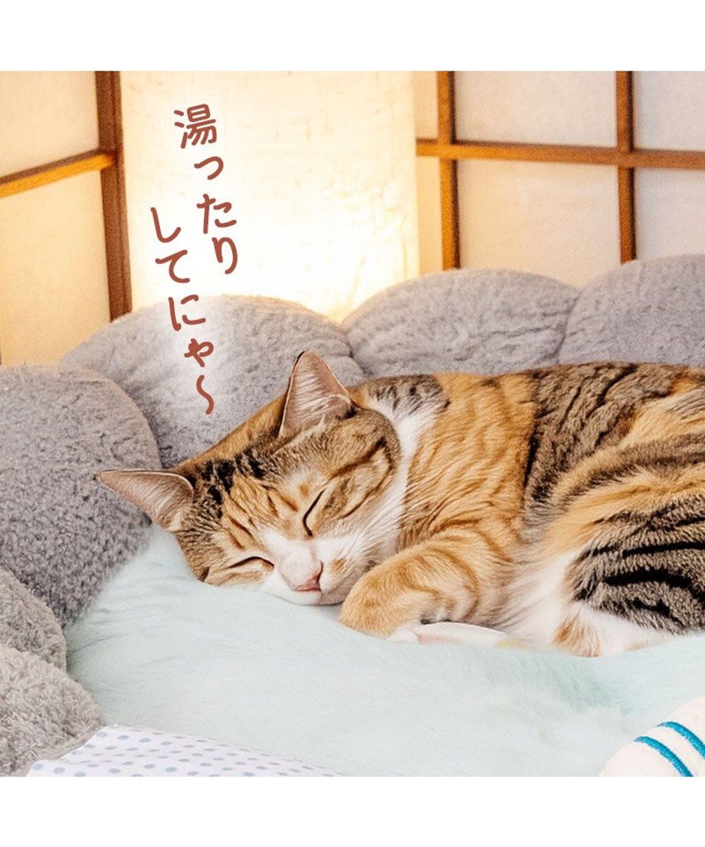 PET PARADISE ペットパラダイス 猫 湯ったり露天風呂 カドラ－ 