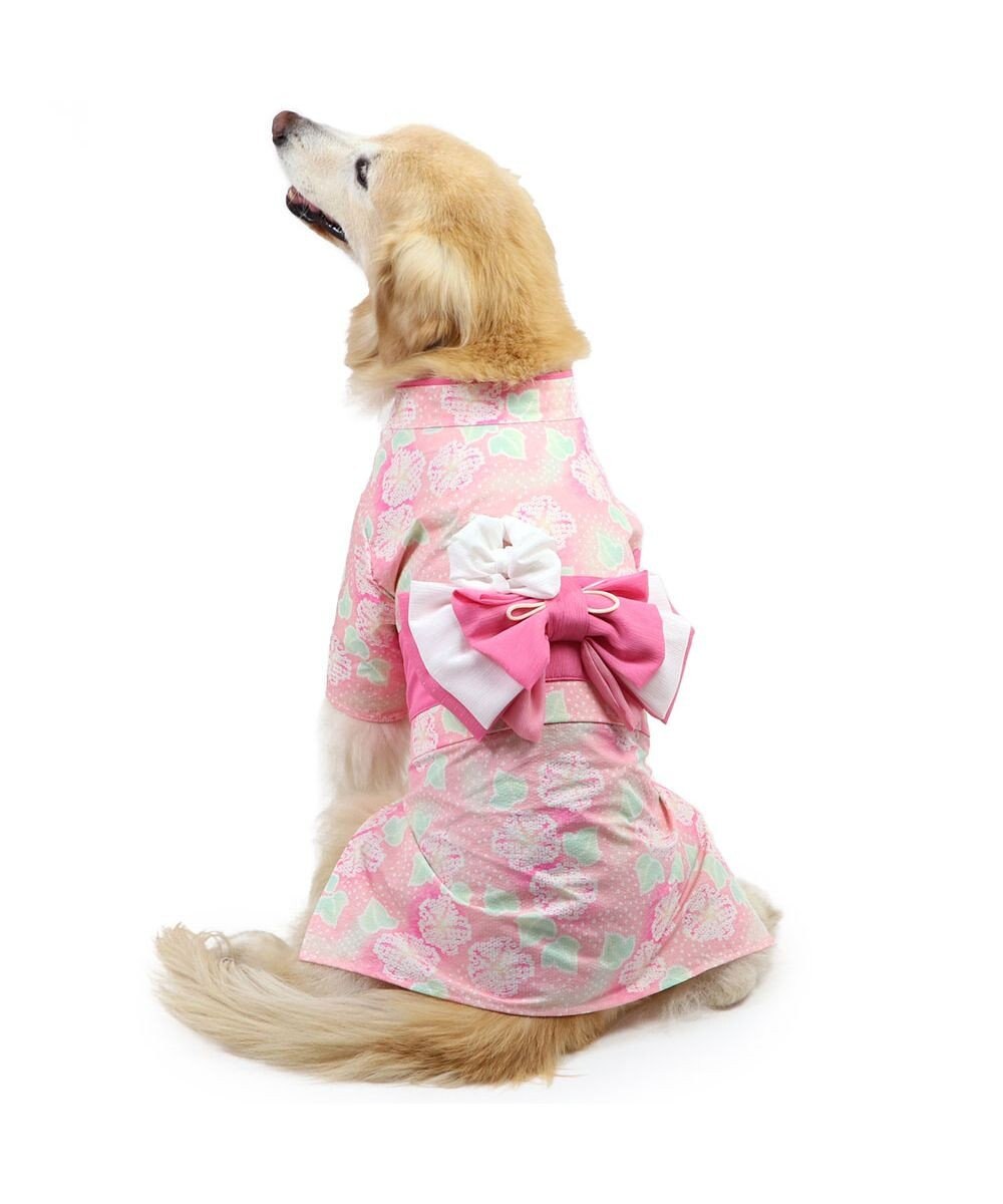 PET PARADISE ペットパラダイス 絞り風 浴衣 《朝顔》 中型犬 大型犬 
