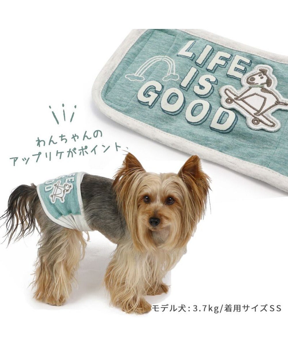 PET PARADISE 犬 服 マナーベルト マナーウエア 【小型犬】 くま柄 らくがき柄 