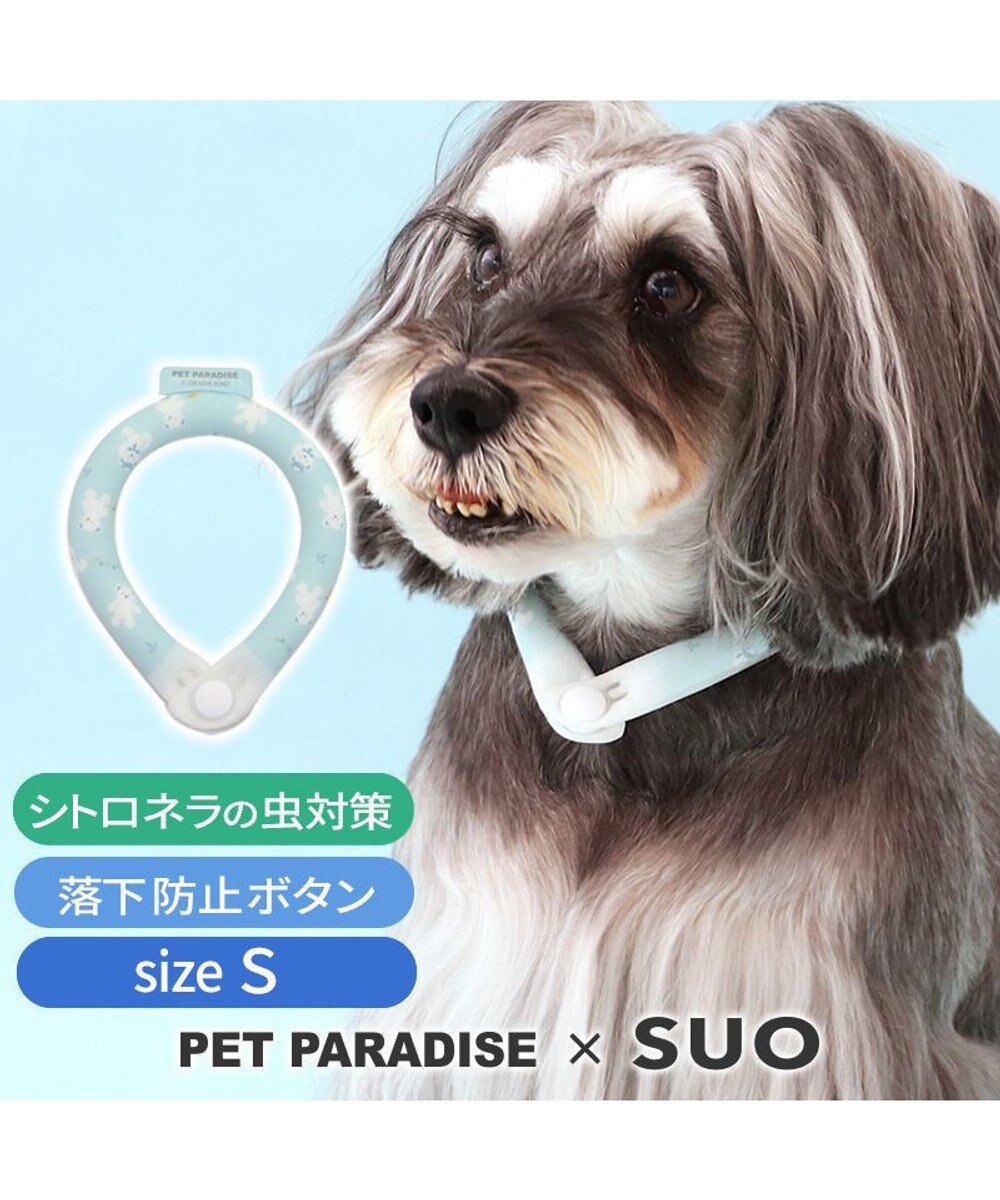 PET PARADISE ペットパラダイス 28℃クールリング SUO 《くま柄》 〔Ｓ〕 小型犬 