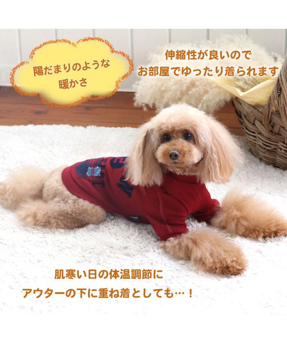 PET PARADISE 犬 服 Tシャツ 【小型犬】 プレミアム ペティーヒート カレッジ 赤 