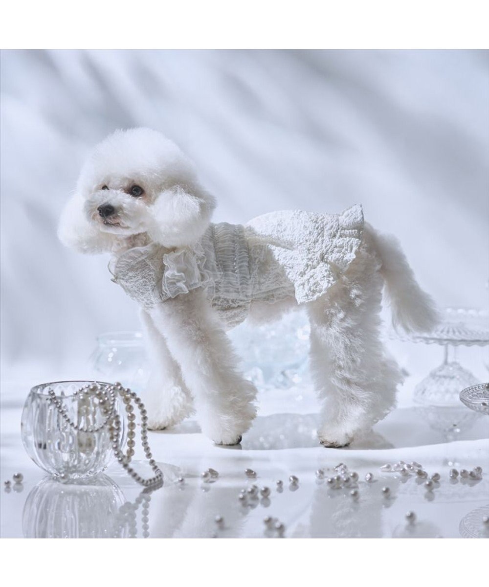 PET PARADISE cherircouture くしゅくしゅ ワンピース 小型犬 