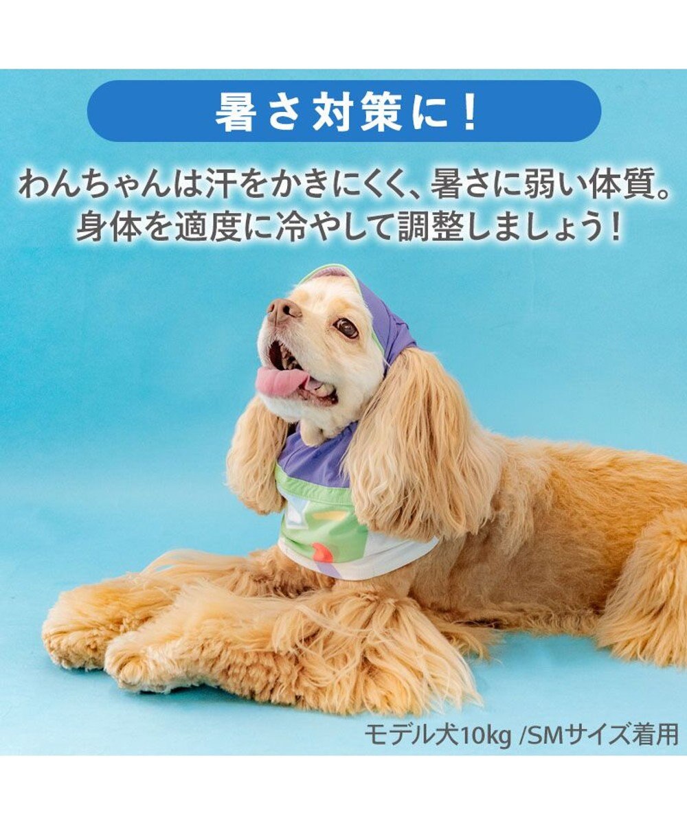 PET PARADISE ディズニー トイ・ストーリー バズ 保冷付き帽子 ＳＭ 中型犬 